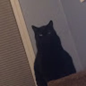 Meet your Posher, Casey